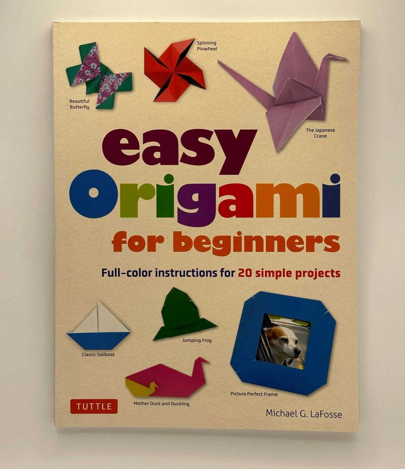 Easy Origami for Beginners - Bizzi Art