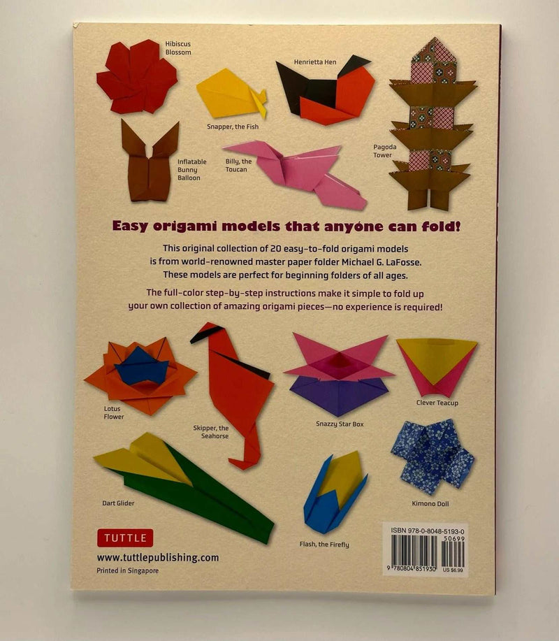 Easy Origami for Beginners - Bizzi Art